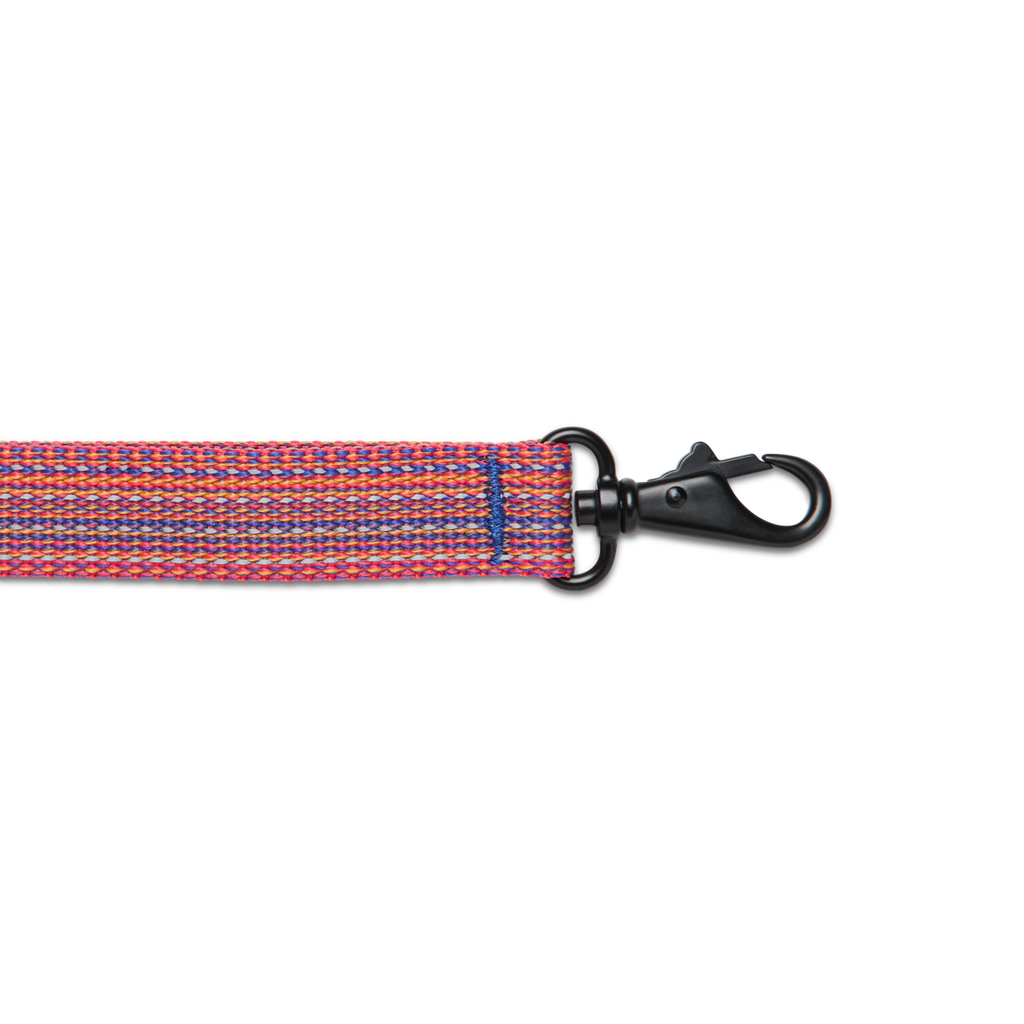Del Día Dog Leash